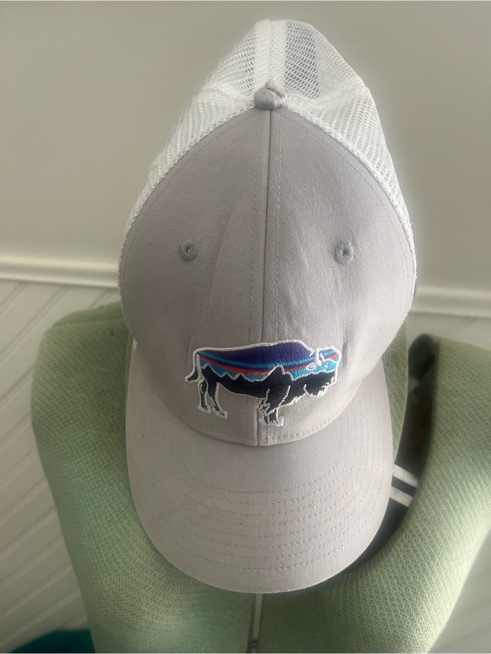Patagonia Grey Trucker Hat